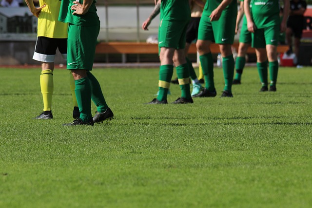 治理透明度 治理透明度