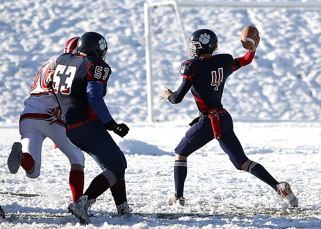 德的统治力 德的统治力