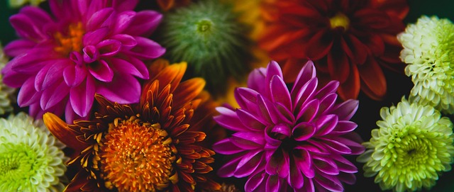 后找回信心 后找回信心