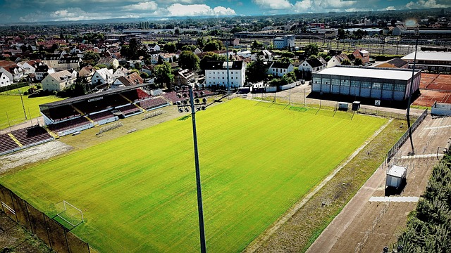 效的战术安 效的战术安