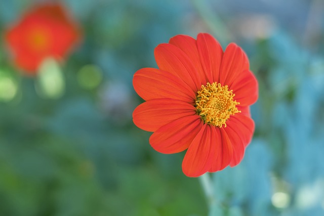 都將面對一 都將面對一