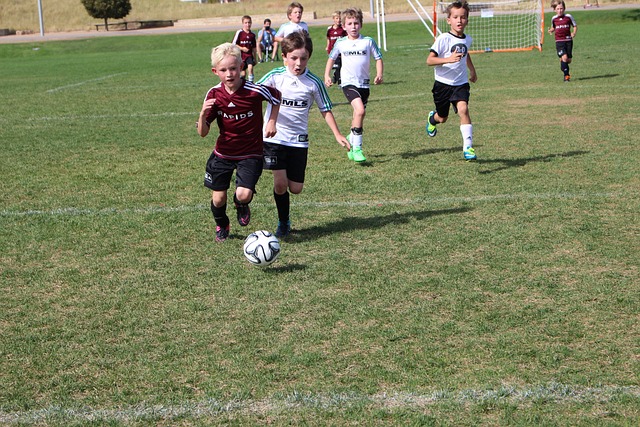 樣擁有廣大 樣擁有廣大