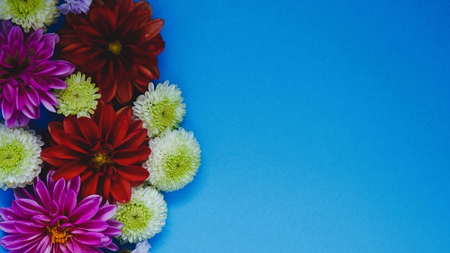 手张某成功 手张某成功