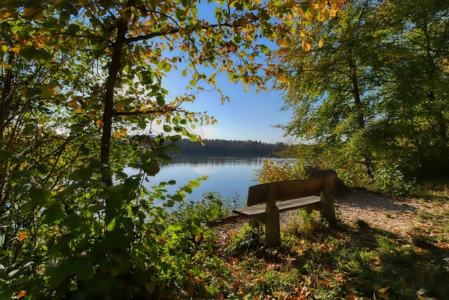 称教科书级 称教科书级