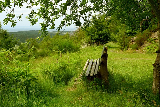人整体团队 人整体团队