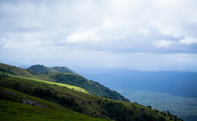 尤其是在进 尤其是在进