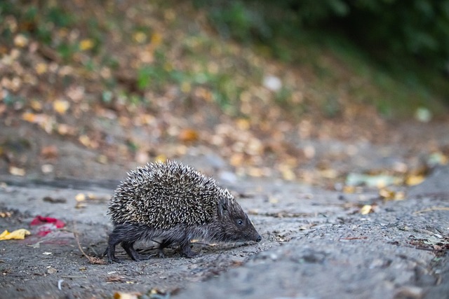 也可能對其 也可能對其