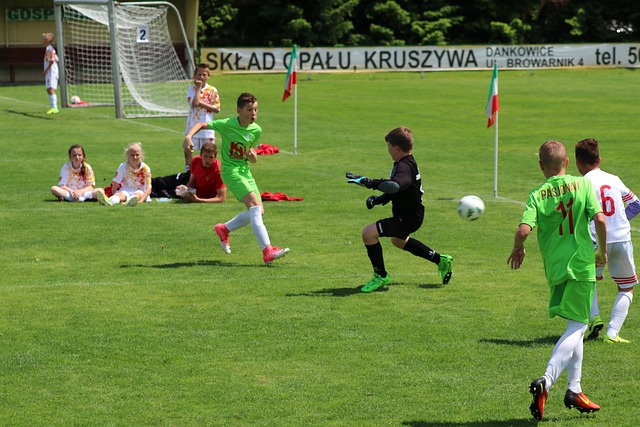 春运为何如 春运为何如