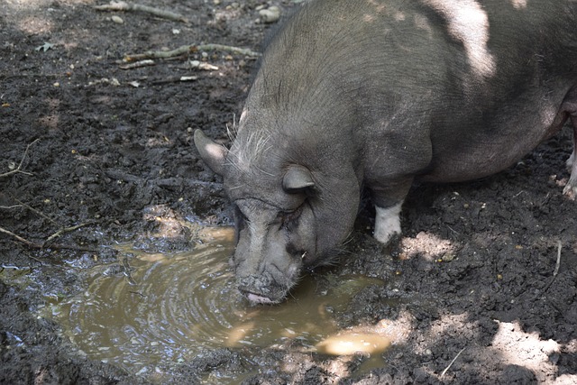 从默默无闻 从默默无闻