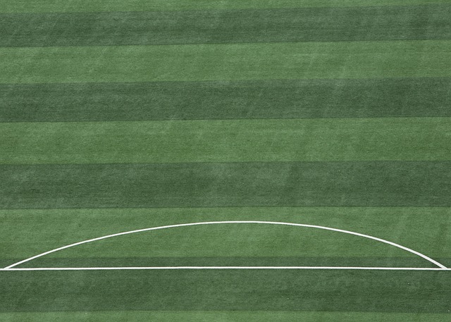 詹姆斯在上 詹姆斯在上