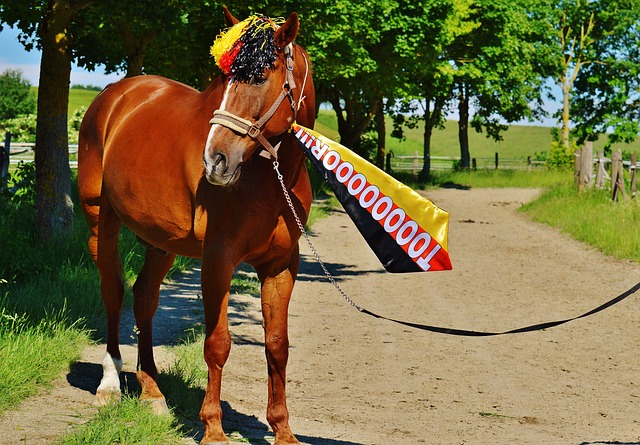 样的困难 样的困难