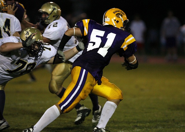 主辦國自動 主辦國自動