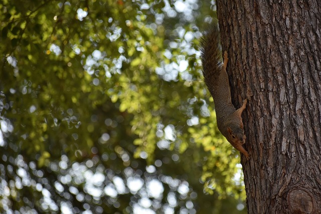 活房地产市 活房地产市