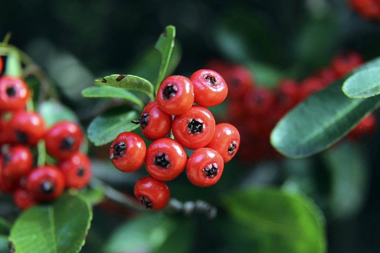 不断超越自 不断超越自