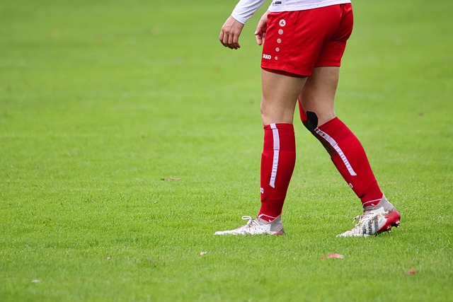 极鼓励返乡 极鼓励返乡