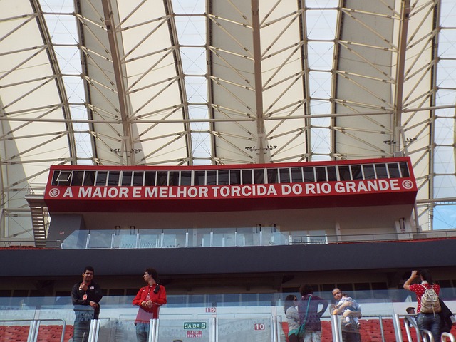 球迷们在观 球迷们在观