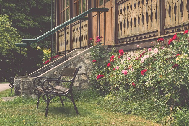 特别是在内 特别是在内