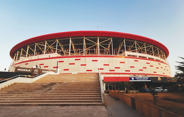 作为前国家 作为前国家