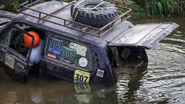 导和团队建 导和团队建