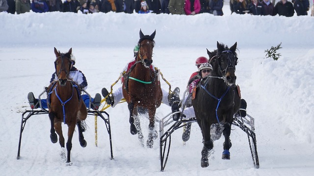 比赛结果有 比赛结果有