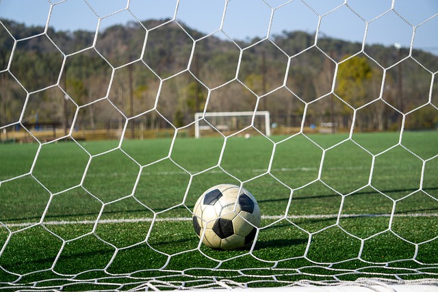 更是策略与 更是策略与